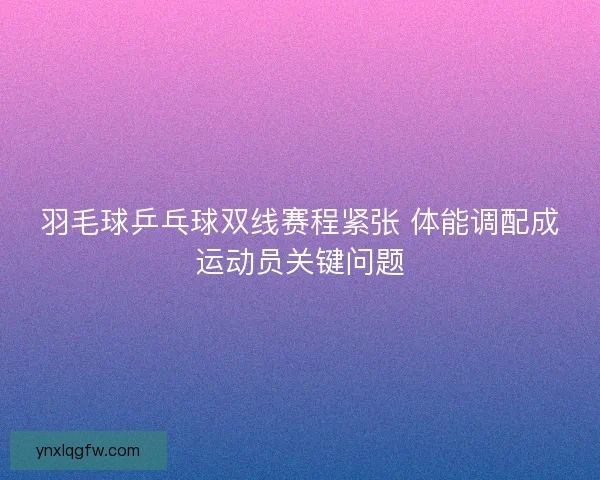 羽毛球乒乓球双线赛程紧张 体能调配成运动员关键问题