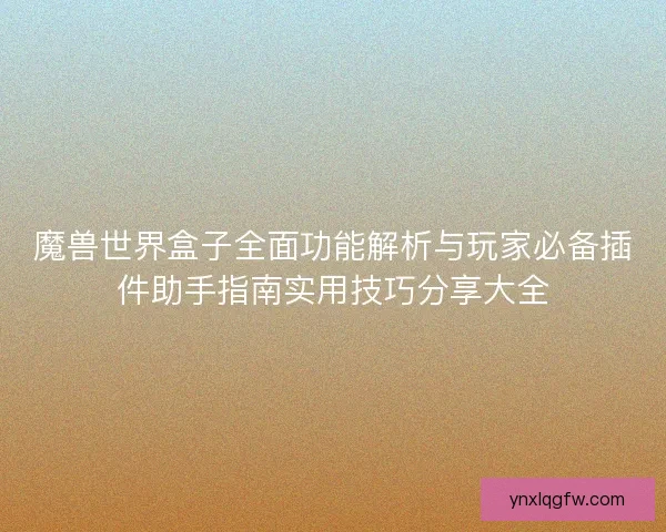 魔兽世界盒子全面功能解析与玩家必备插件助手指南实用技巧分享大全