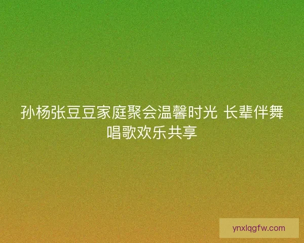孙杨张豆豆家庭聚会温馨时光 长辈伴舞唱歌欢乐共享