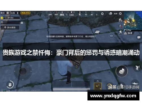 贵族游戏之禁忏悔：豪门背后的惩罚与诱惑暗潮涌动